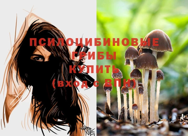 круглые Армянск