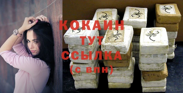 стафф Арсеньев