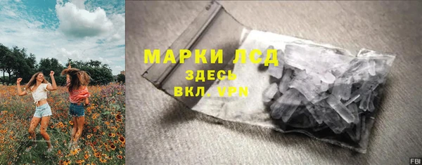 стафф Арсеньев