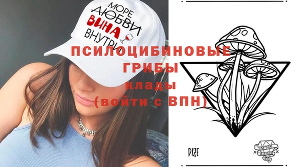 стафф Арсеньев